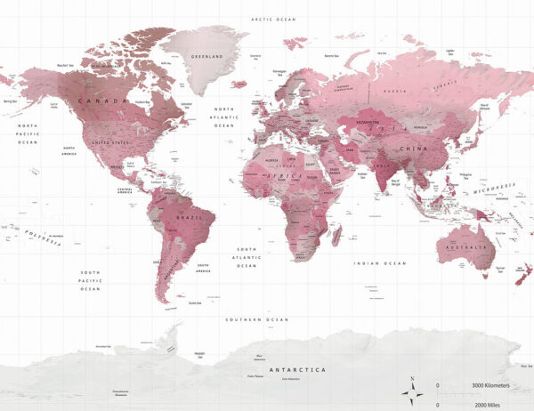 Carta da parati con mappa politica del mondo in colore rosa tenue