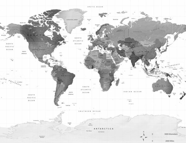 Carta da parati mappa politica del mondo in colore grigio