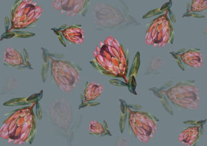 Delicato fiore di protea sullo sfondo blu carta da parati