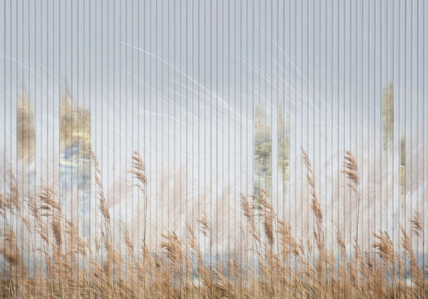 Campo di grano dorato dietro i pannelli della carta da parati natura