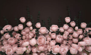 Delicati fiori di rosa sullo sfondo di cioccolato fondente 3D сarta da parati