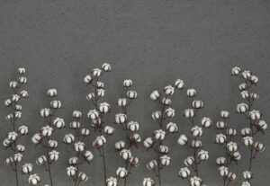 Fiori di cotone sullo sfondo con texture grafite сarta da parati 3D