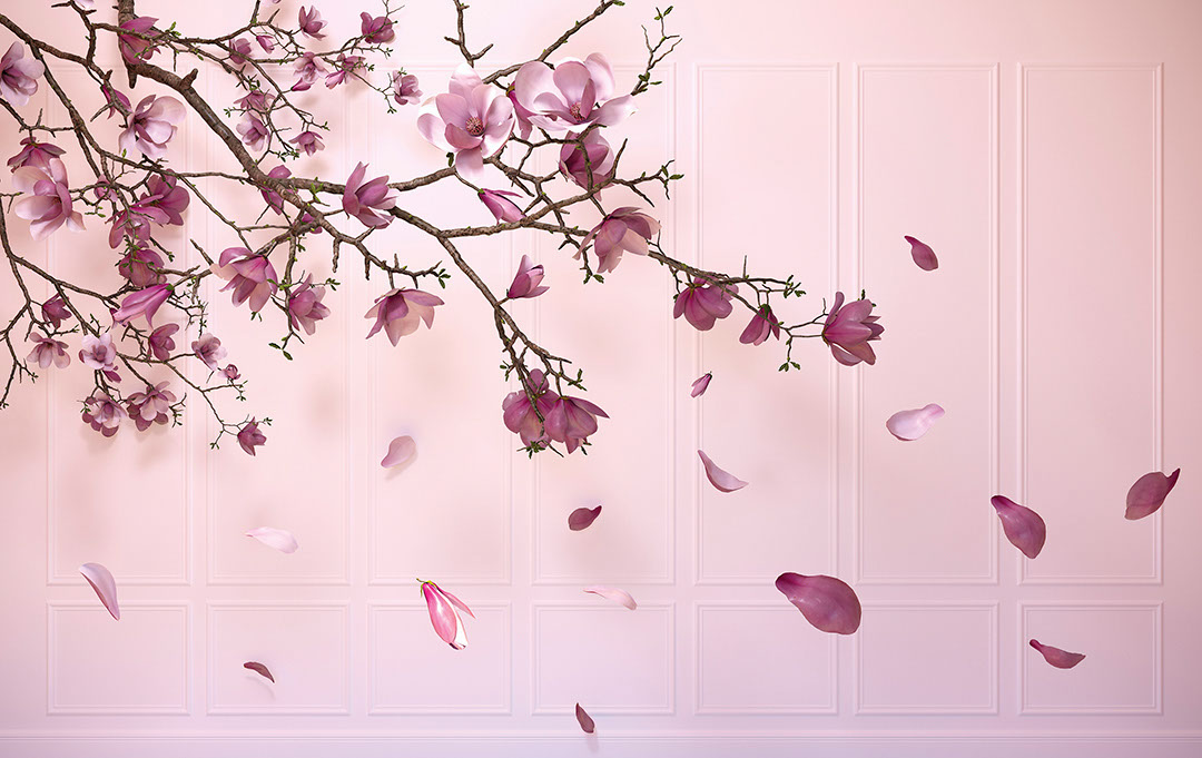 Carta da parati 3D con fiori di ciliegio viola e pannelli murali rosa