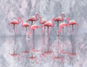 Stormo di fenicotteri rosa e il loro riflesso сarta da parati