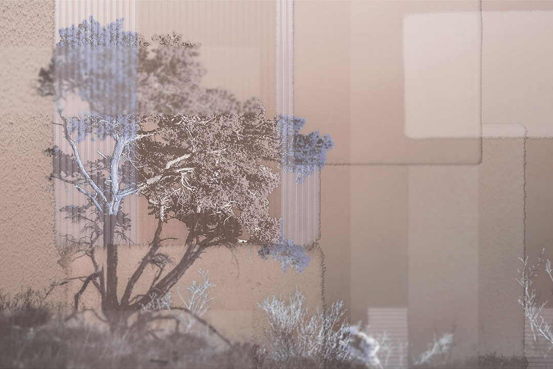 Collage di alberi africani e forme geometriche сarta da parati nei toni del beige e del blu