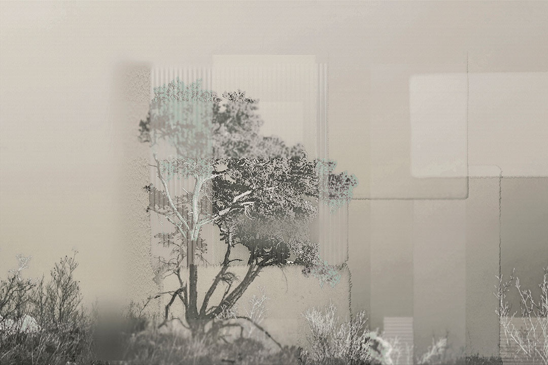 Collage di alberi e forme geometriche сarta da parati in bianco e nero