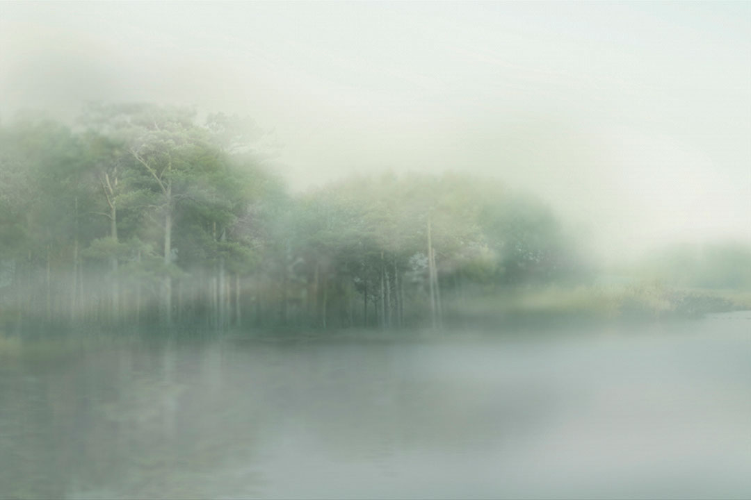 Carta da parati foresta in stile impressionista