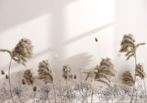 Carta da parati 3D dell'erba della pampa sullo sfondo lattiginoso