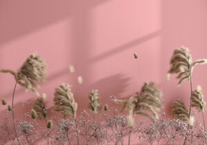 Carta da parati 3D dell'erba di Pampa sullo sfondo rosa