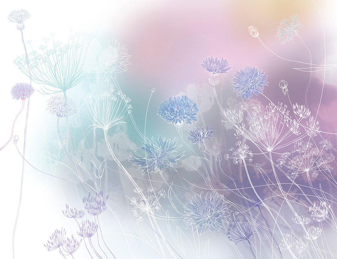 Carta da parati con fiori di campo acquerellati sullo sfondo luminoso