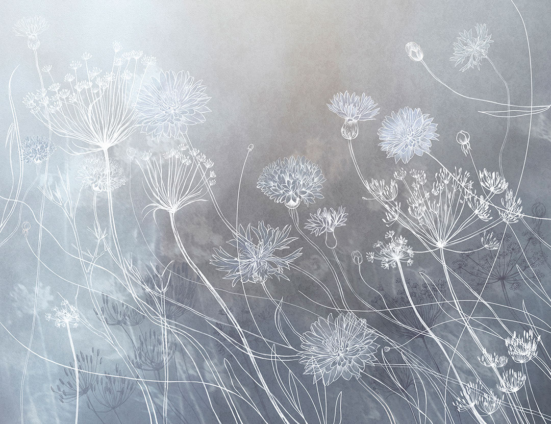 Carta da parati con fiori di campo acquerellati su sfondo grigio
