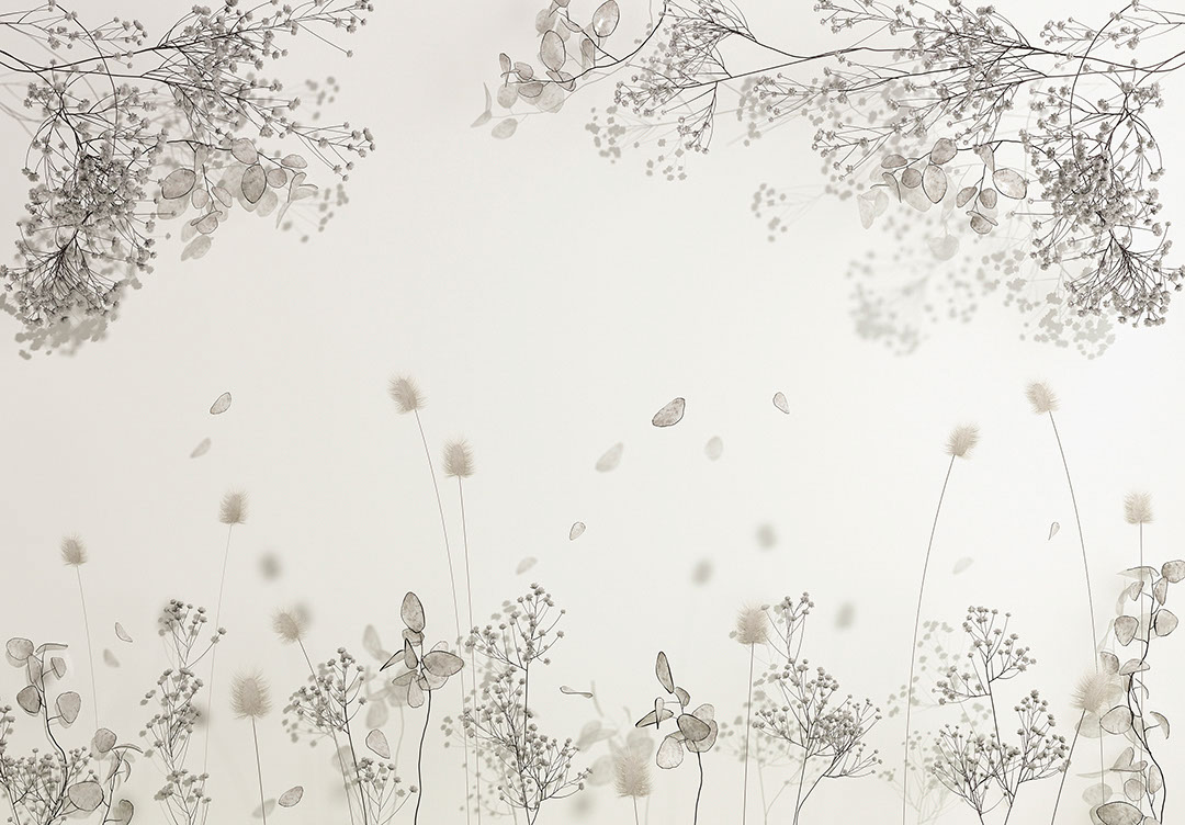 Delicati fiori secchi su sfondo bianco carta da parati 3D