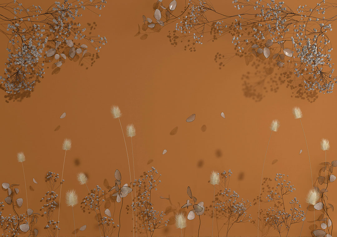 Delicati fiori secchi su sfondo arancione carta da parati 3D