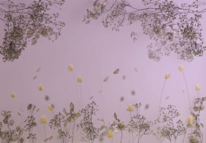 Delicati fiori secchi sullo sfondo viola carta da parati3D