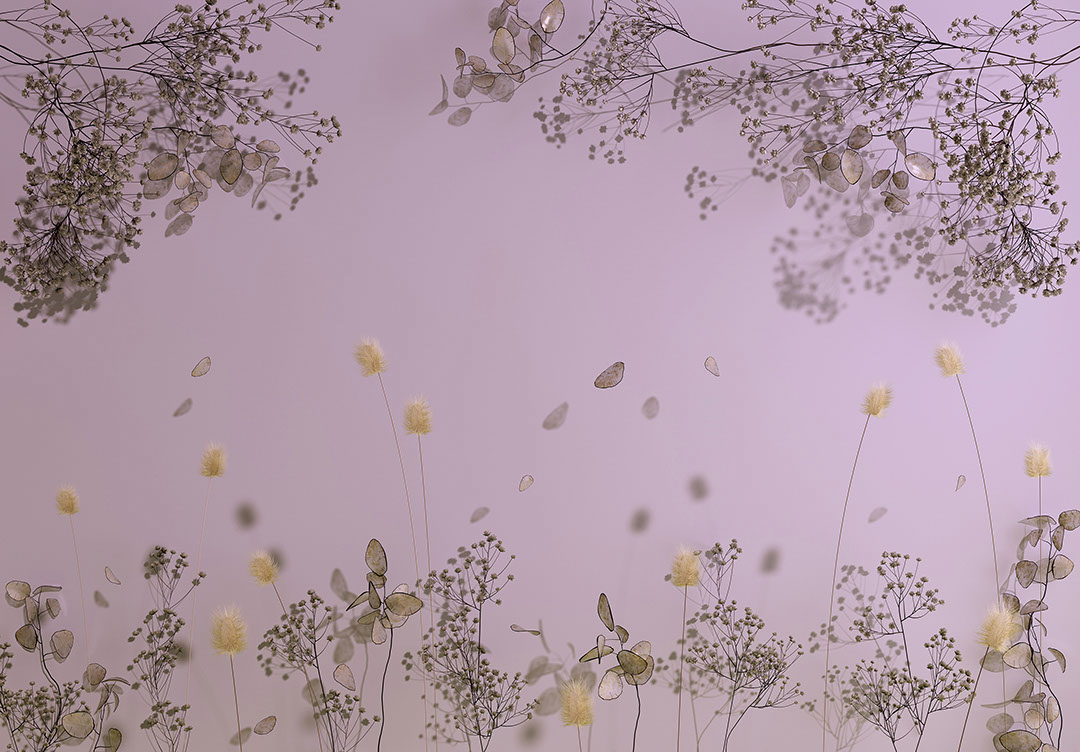 Delicati fiori secchi sullo sfondo viola carta da parati3D