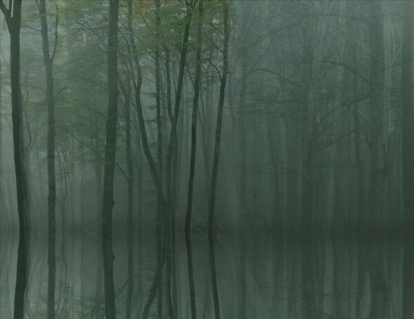 Carta da parati misterioso della foresta oscura