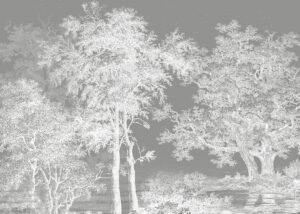 Carta da parati con foresta illustrata bianca sul cielo grigio
