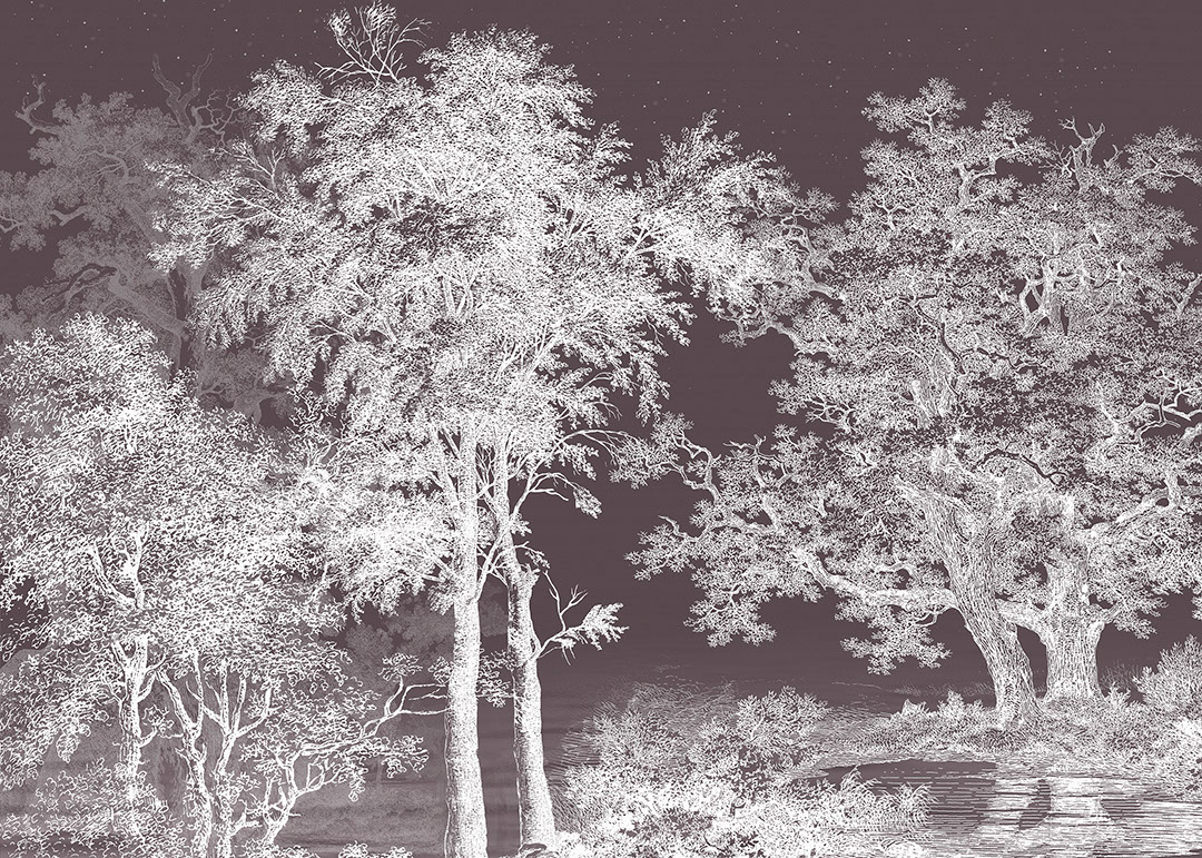 Carta da parati con foresta illustrata bianca sul cielo scuro