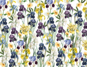Carta da parati con motivo floreale di iris colorati