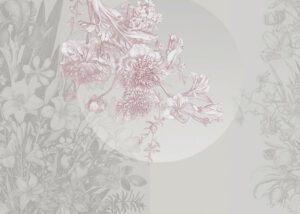 Carta da parati asimmetrico con teneri fiori e geometrie nei colori rosa e grigio