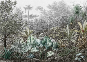 Carta da parati grunge con foglie e alberi tropicali