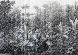 Carta da parati grunge con texture e incisione con foglie tropicali e alberi in bianco e nero