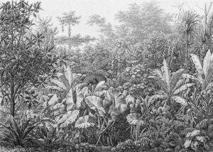 Carta da parati grunge con foglie e alberi tropicali in bianco e nero