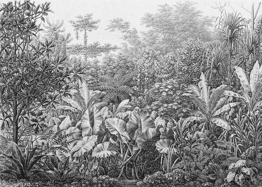 Carta da parati grunge con foglie e alberi tropicali in bianco e nero