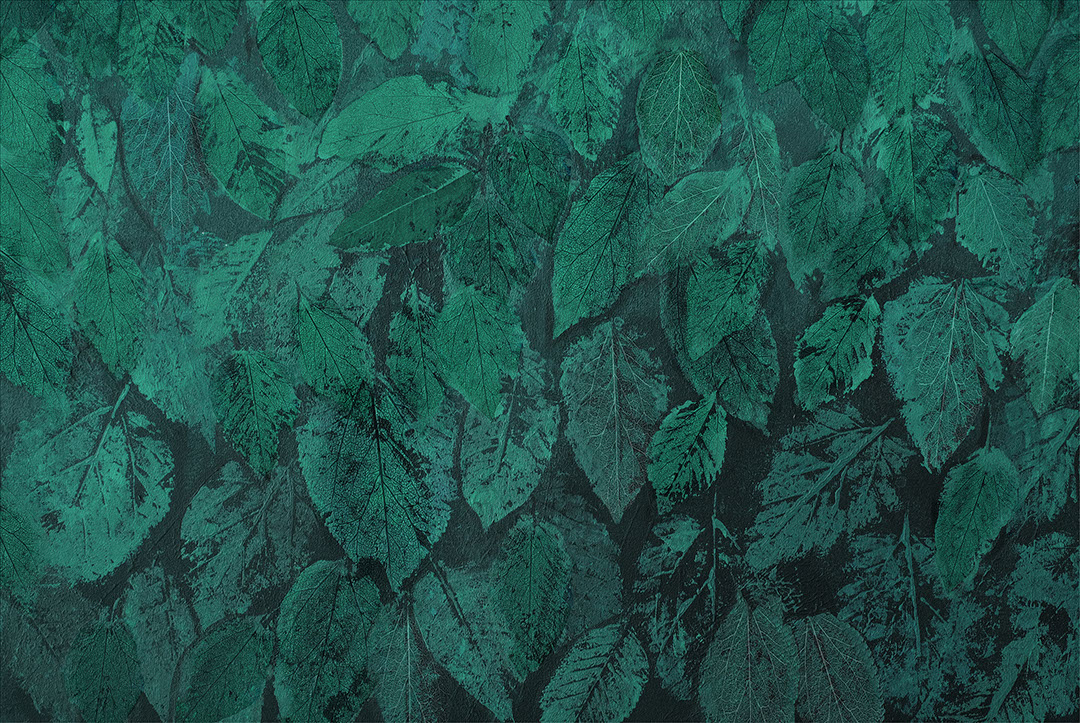 Impronte di foglie disegnate a mano verde scuro carta da parati