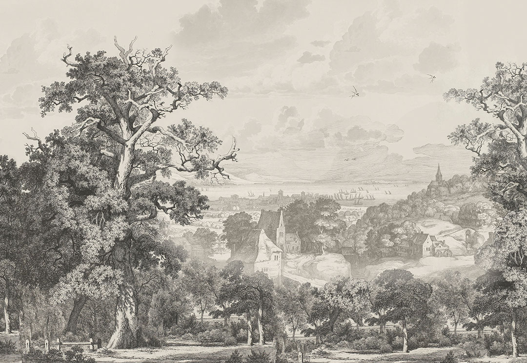 Acquaforte d'epoca foresta e villaggio carta da parati
