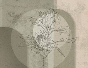 Carta da parati geometrico con fiore di protea nei colori marrone e grigio