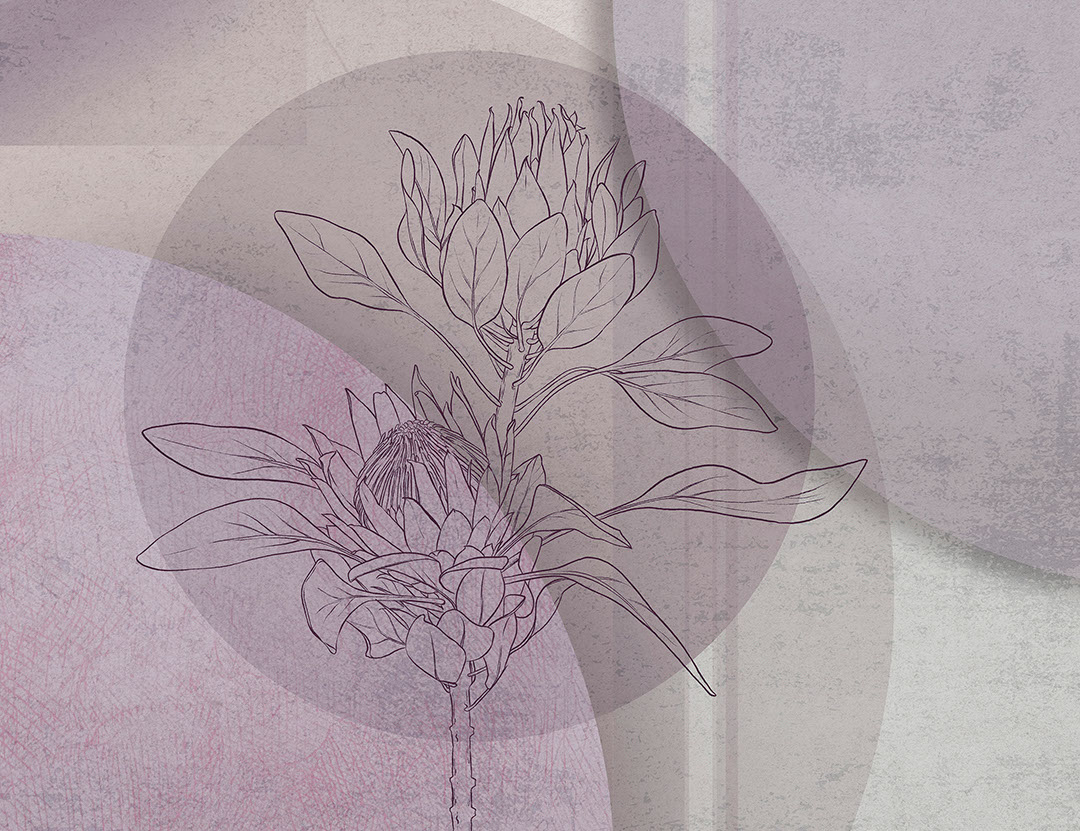Carta da parati floreale oversize con protea e sfondo geometrico viola