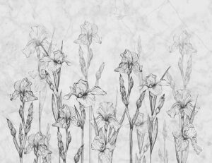 Iris minimalisti e carta da parati in marmo grigio