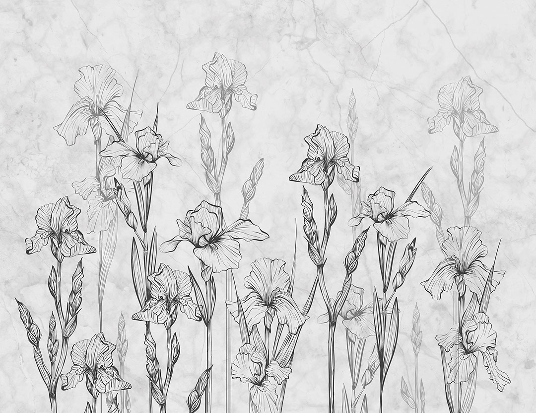 Iris minimalisti e carta da parati in marmo grigio