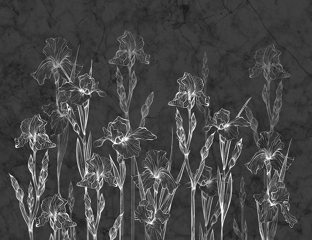 Iris minimalisti e carta da parati in marmo scuro
