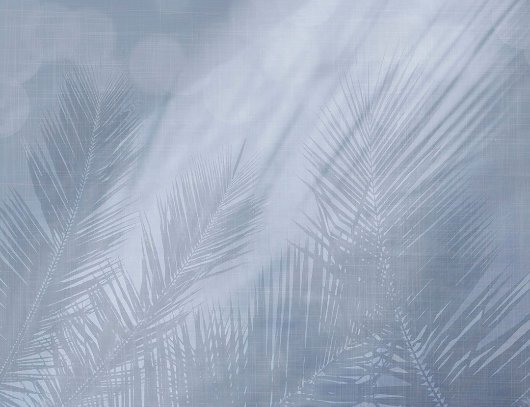 Carta da parati con ombre di foglie tropicali nei colori blu