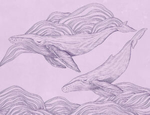Carta da parati di balene illustrate lineari sullo sfondo viola