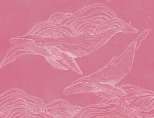 Carta da parati di balene illustrate lineari su sfondo rosa