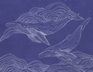 Carta da parati di balene illustrate lineari su sfondo blu scuro