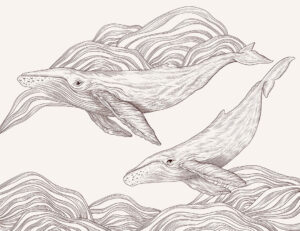 Carta da parati con balene illustrate carine