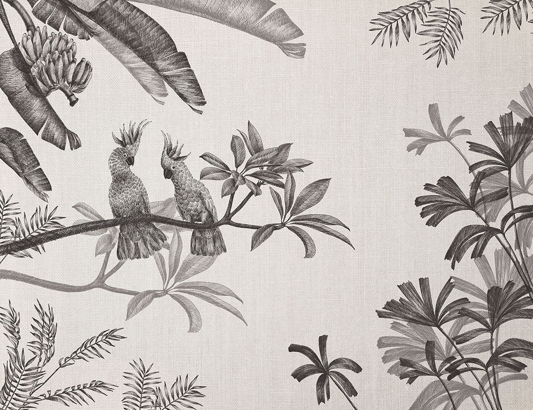 Sofisticato carta da parati natura illustrato con piante tropicali nere e pappagalli