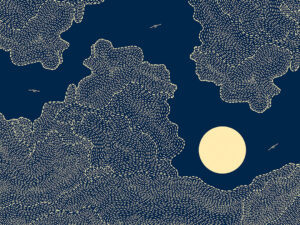Sole con nuvole e uccelli sul cielo blu scuro carta da parati in stile lineare