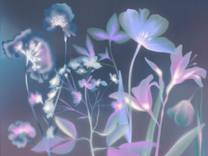 Impronte di fiori colorati con effetto raggi X blu carta da parati