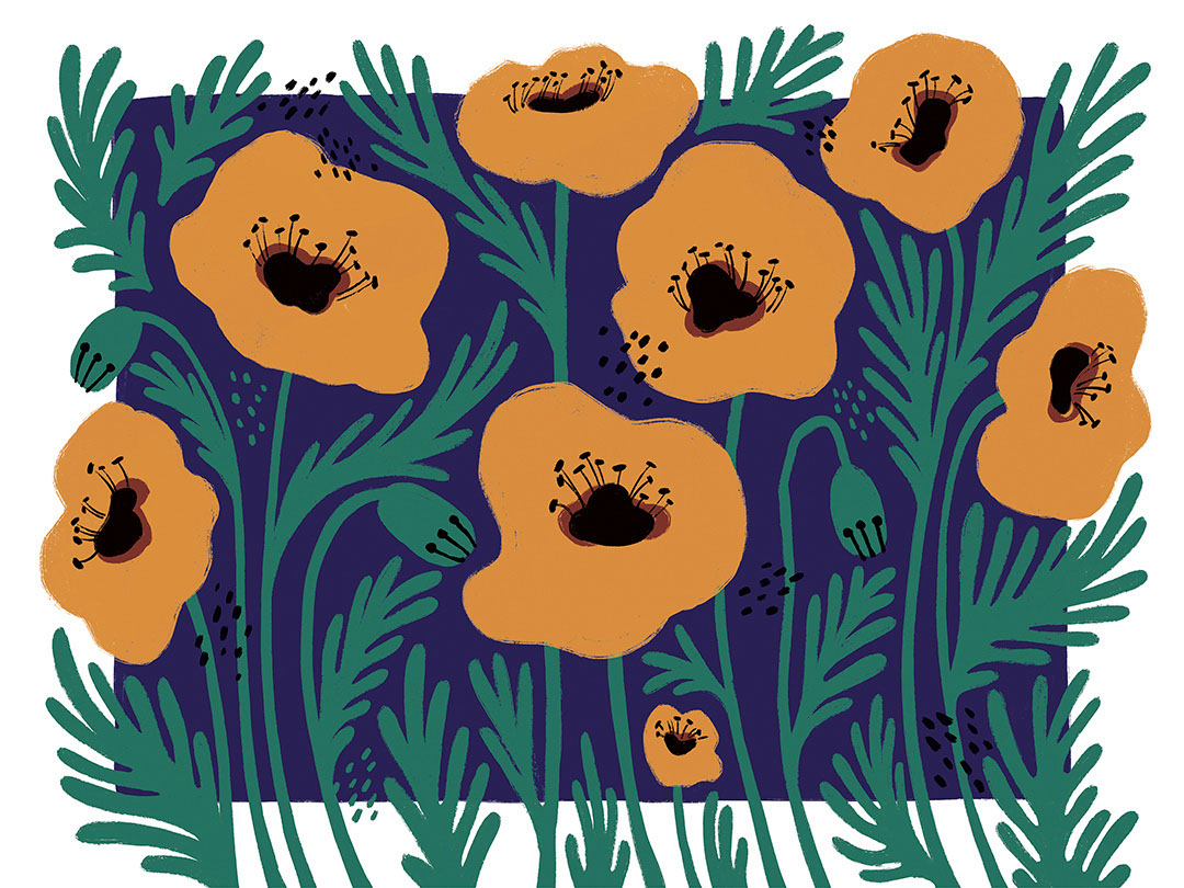 Fiori gialli illustrati con un carta da parati asimmetrico di sfondo blu