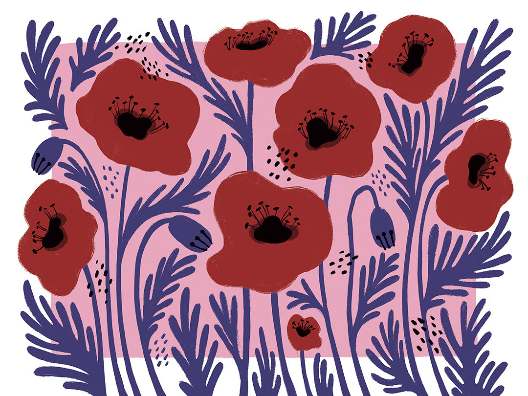 Fiori rossi illustrati con un carta da parati asimmetrico di sfondo rosa
