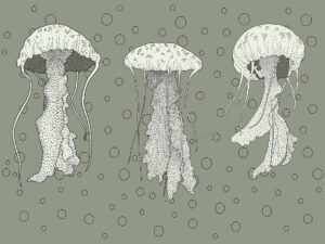 Carta da parati di meduse con bolle d'acqua sullo sfondo verde