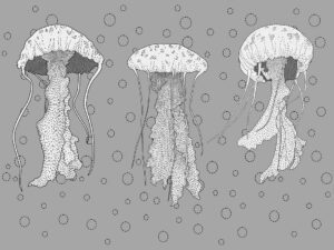 Carta da parati di meduse con bolle d'acqua su sfondo grigio