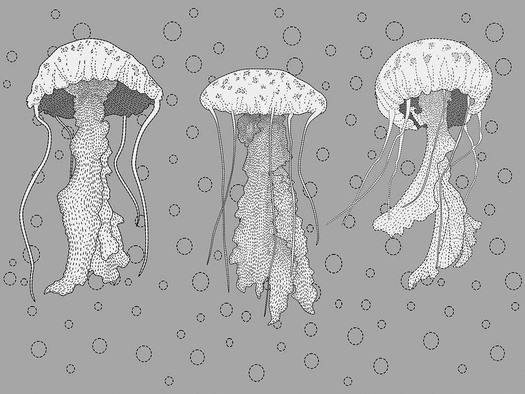 Carta da parati di meduse con bolle d'acqua su sfondo grigio