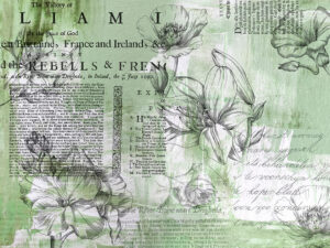 Fiori lineari minimalisti con testo vintage carta da parati verde