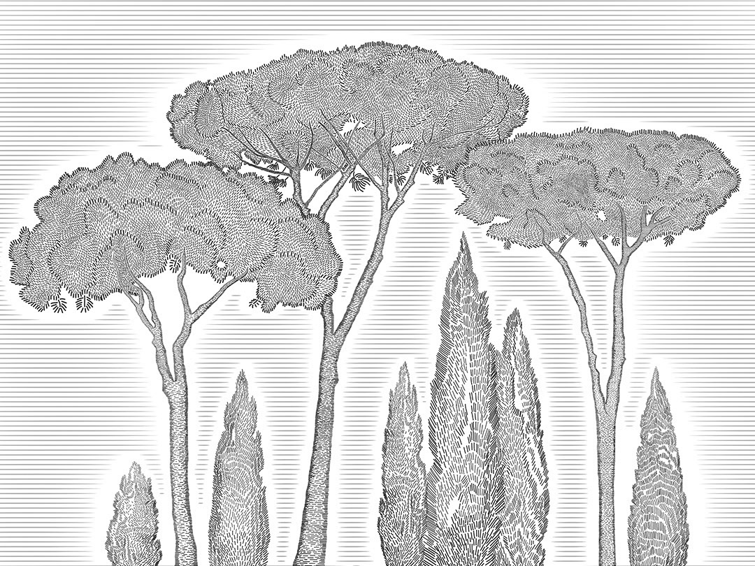 Carta da parati illustrato con cipressi mediterranei neri e pini marittimi